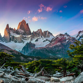 Fitz Roy