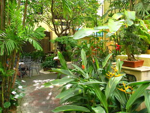 Garten