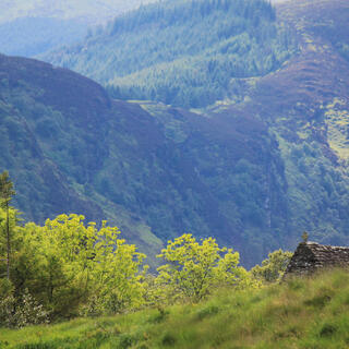 Glendalough: Kloster