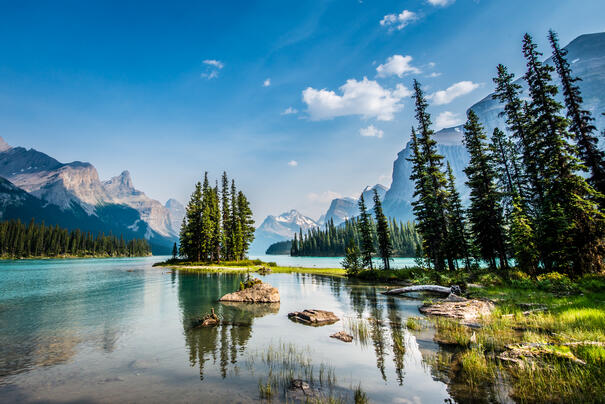 Maligne Lake 