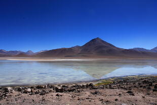 Lagune in der Wüste Boliviens