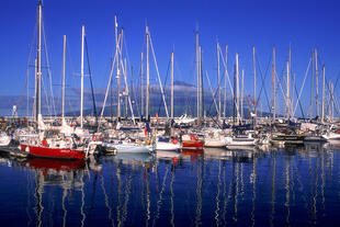 Hafen von Horta auf Faial Island