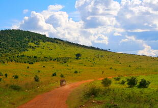 Landschaft in Masai Mara