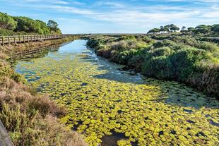 Naturpark Rio Farmosa