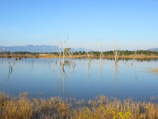Landschaft im Udawalawe Nationalpark