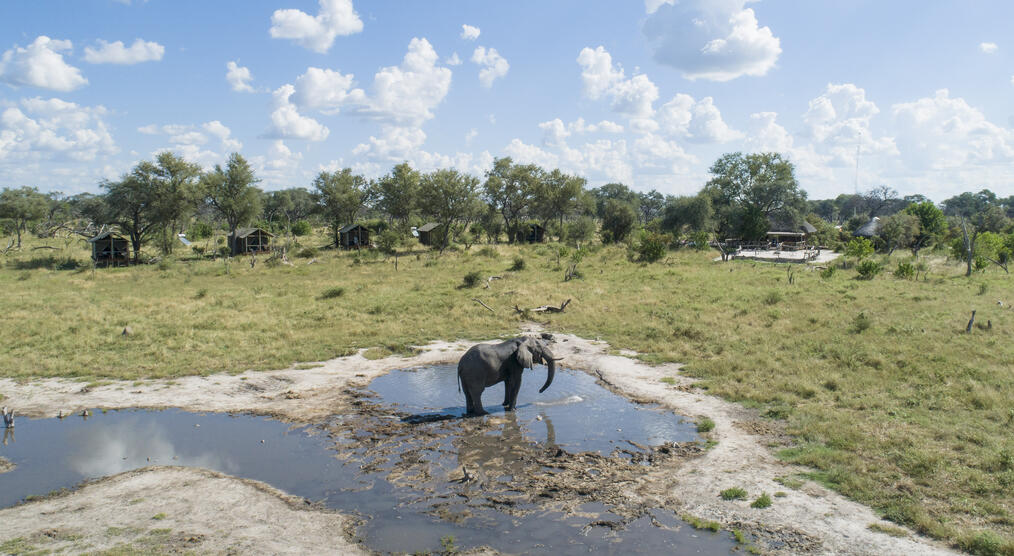 Wasserloch mit Elefant