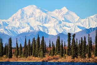Blick auf den Denali
