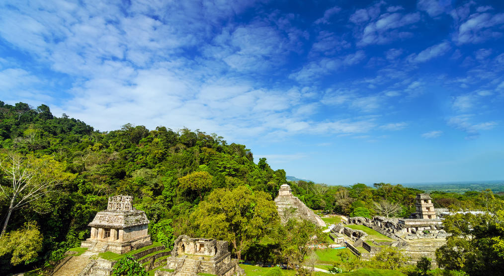 Blick über Palenque