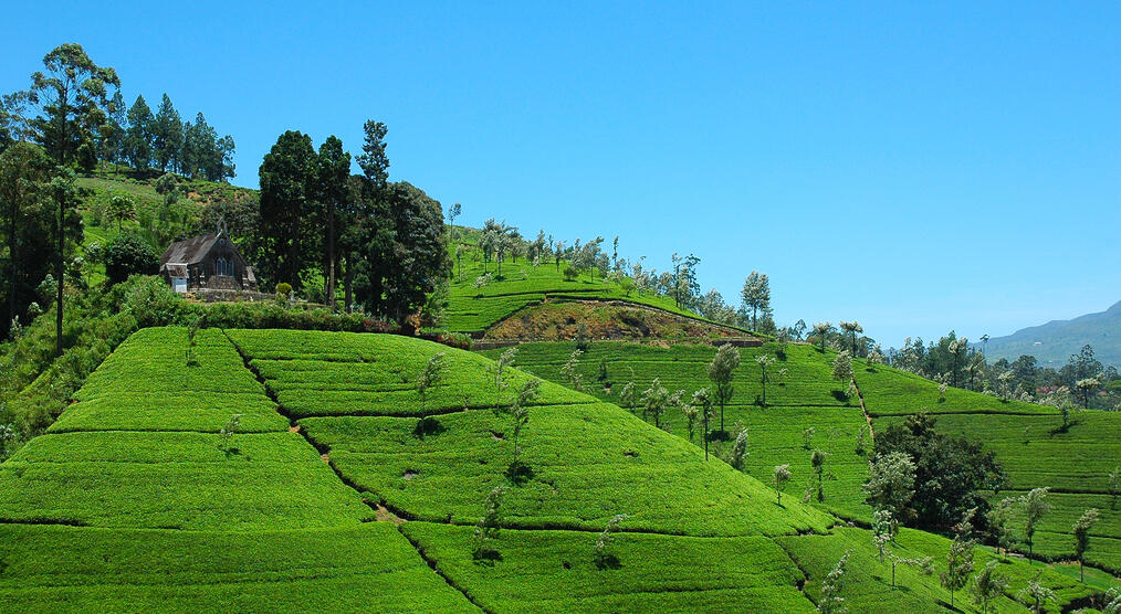 Sri Lanka Rundreise 