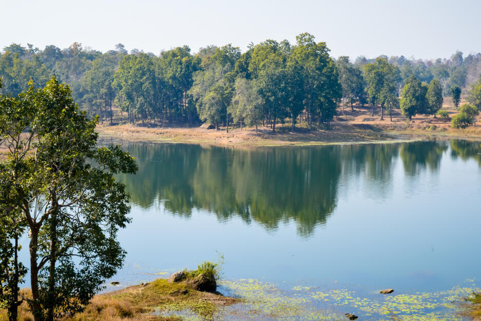Bandhavgarh Nationalpark