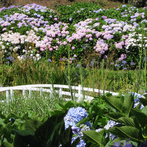 Blühende Gärten
