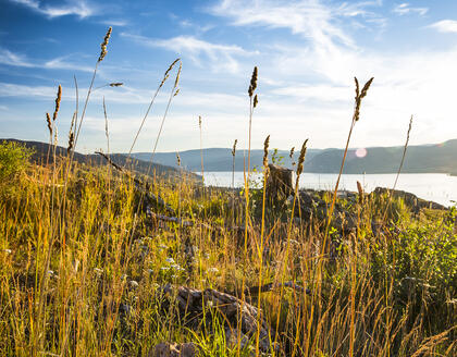 Natur im Okanagan Valley