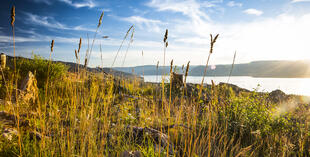 Natur im Okanagan Valley