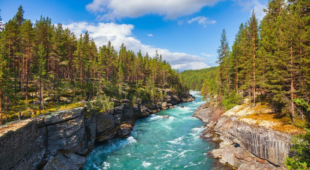 Rauer Fluß im Wald in Norwegen auf Skandinavien Reisen