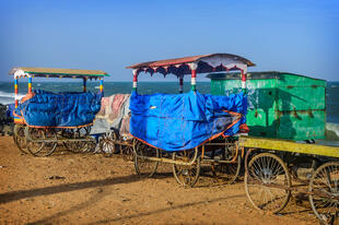Alte Karren am Strand von Pondicherry 