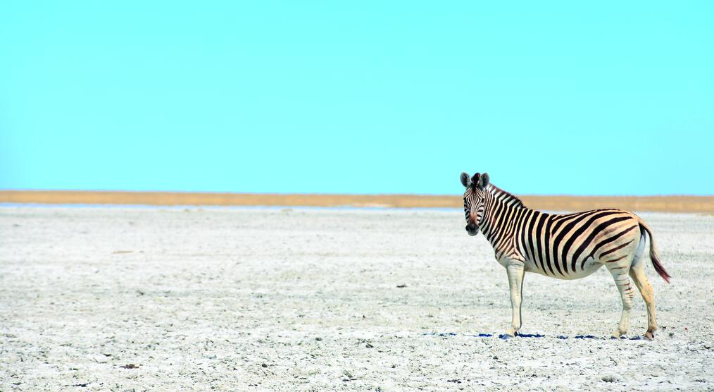 Südafrika & Botswana Landschaft