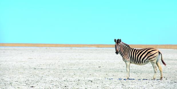 Südafrika & Botswana Landschaft
