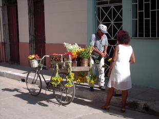 Kubanischer Blumenladen 