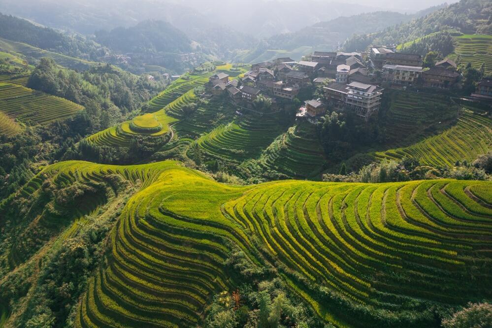 Reisterrasse in Longsheng