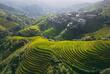 Reisterrasse in Longsheng