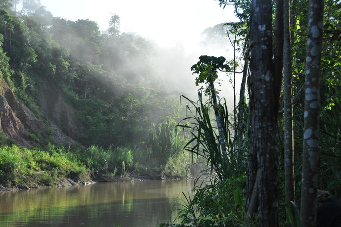 Tambopata River 