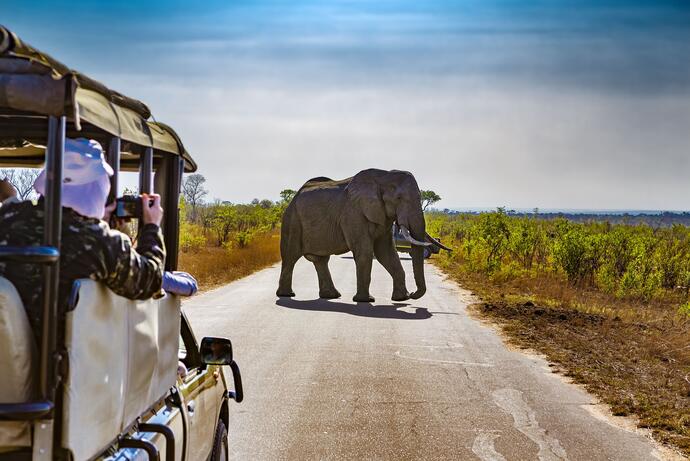 Krüger Nationalpark