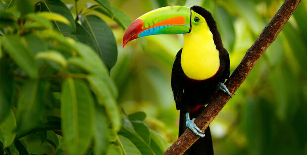 Costa Rica Landschaft