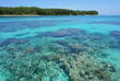 Coral Cay