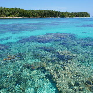 Coral Cay