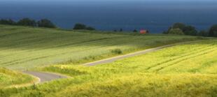 Faszination-Landschaft-Rügen 