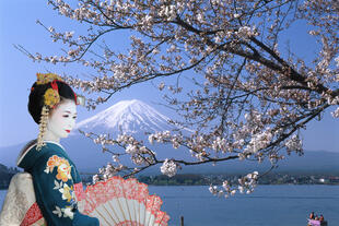 Geisha am Fuji 