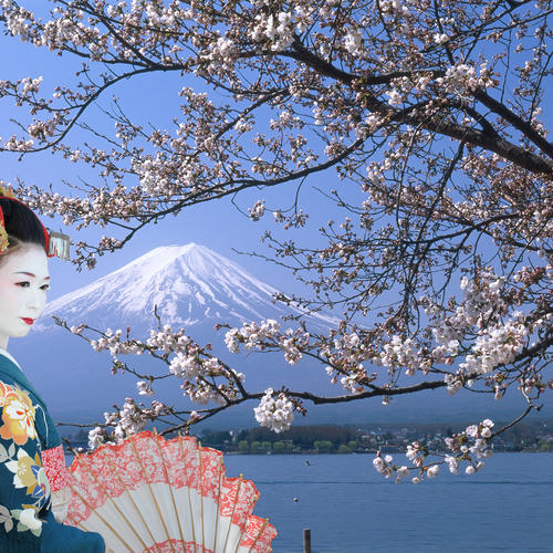 Geisha am Fuji 