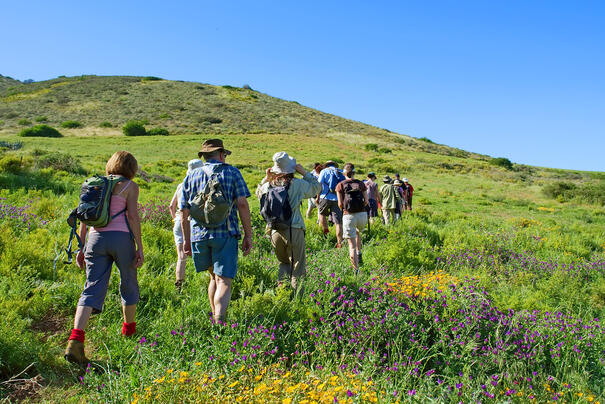 Wandergruppe