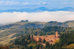 Weinbaugebiet in Siena