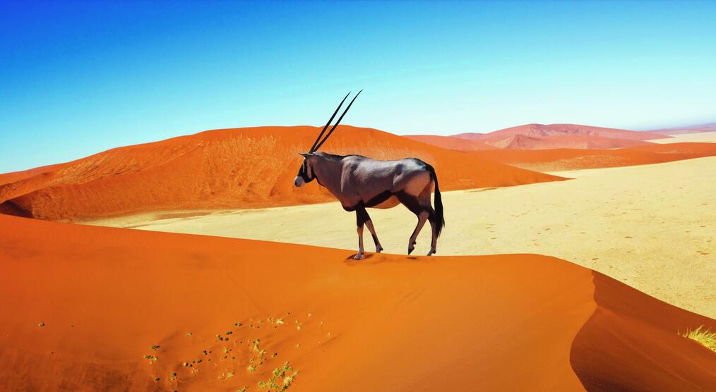 Namibia