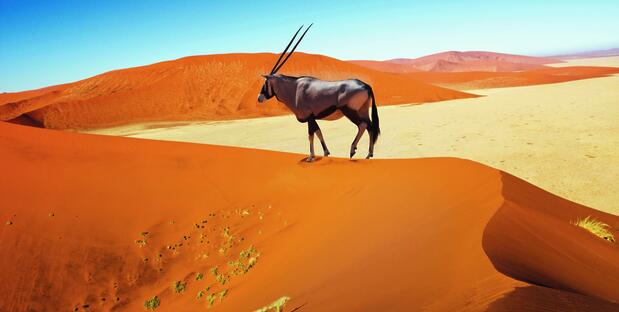 Namibia