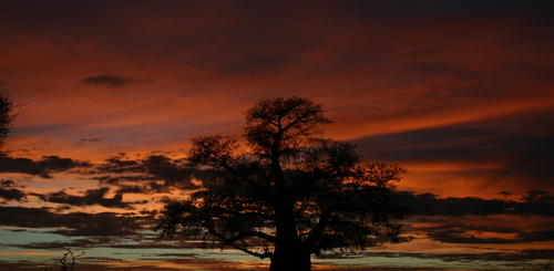 Chobe Nationalpark bei Sonnenuntergang