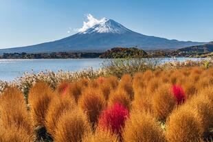 Oishi Park