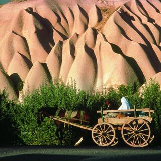 Pferdewagen 