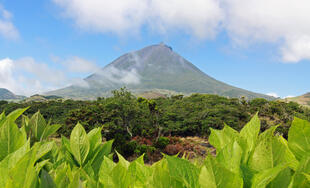 Vulkan Pico