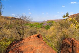 Landschaft in der Nähe von Otjiwarongo