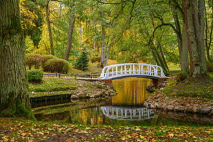 Botanischer Garten in Palanga 