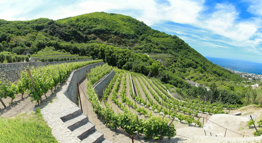 Panoramablick Ischia