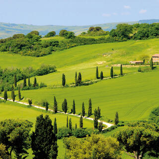 Toskana Landschaft