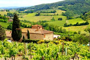 Blick von einem Hügel auf das Chianti-Gebiet