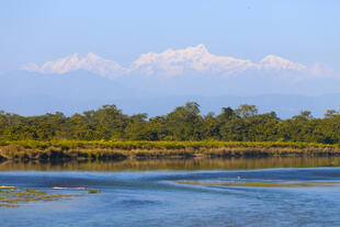 Der Chitwan Nationalpark