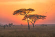 Sonnenuntergang im Serengeti Nationalpark
