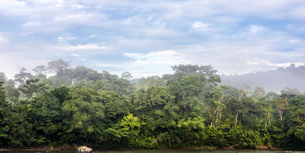 Ecuador Landschaft