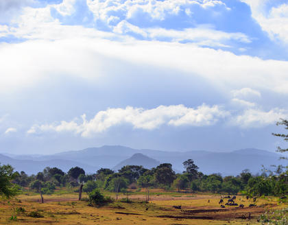 Udawalawe Nationalpark