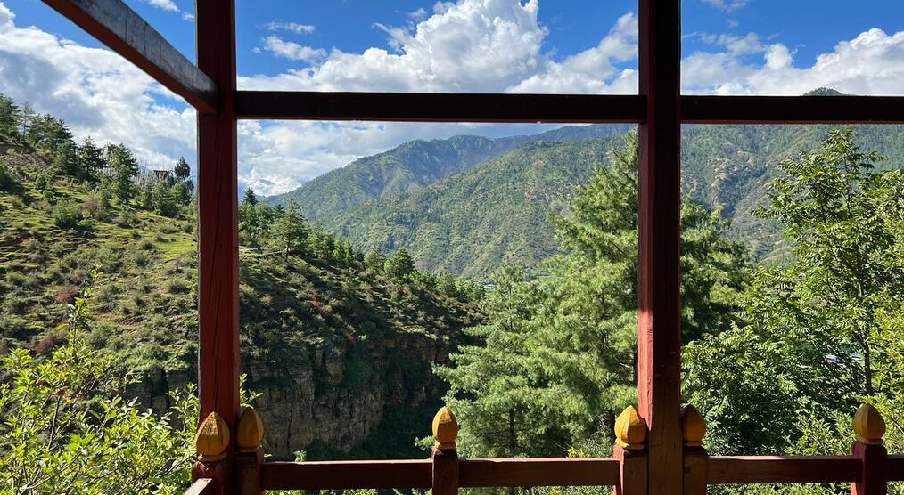 Ausblick